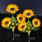 💐60 % RABATT! Solcelledrevne solsikkelys – lysende hagedekorasjon 🌻🌙【Begrenset tilbud】