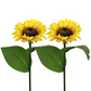 💐60 % RABATT! Solcelledrevne solsikkelys – lysende hagedekorasjon 🌻🌙【Begrenset tilbud】