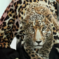 Glidelåsjakke med leopardmønster