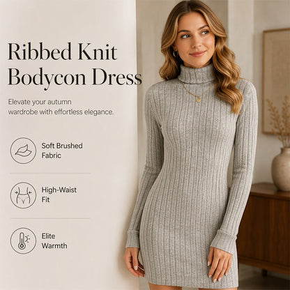 Langermet strikkekjole med ribbestrikket turtleneck for damer