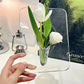 Nordic Style Aesthetics Elegant Ins Fotoramme Vase