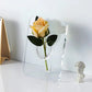 Nordic Style Aesthetics Elegant Ins Fotoramme Vase